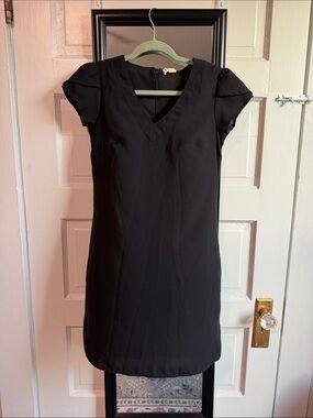 Japna Black V-Neck Cap Sleeve Mini Dress